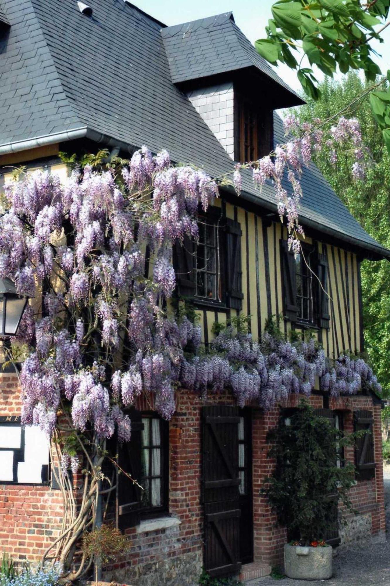 Auberge Du Val Au Cesne Saint-Clair-sur-les-Monts Zewnętrze zdjęcie