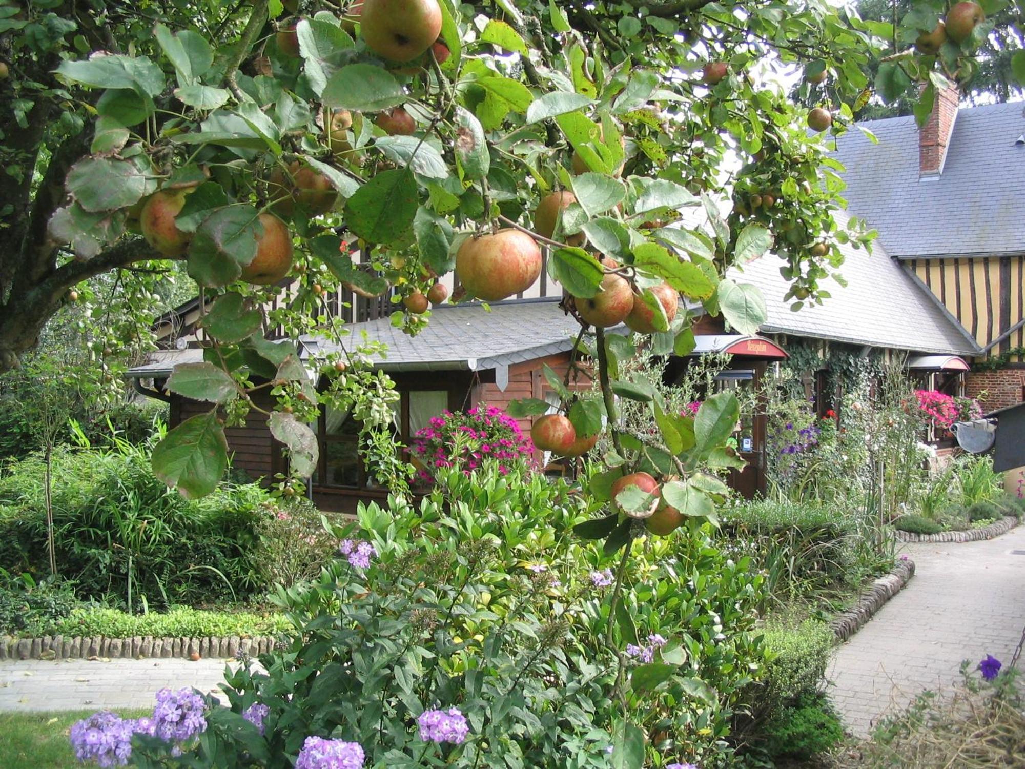 Auberge Du Val Au Cesne Saint-Clair-sur-les-Monts Zewnętrze zdjęcie